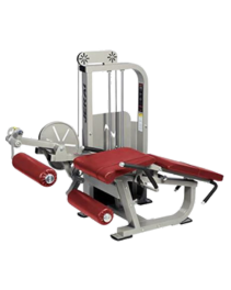  LEG CURL AND LEG EXT