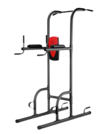 DOUBLE BAR WITH PULL UPS