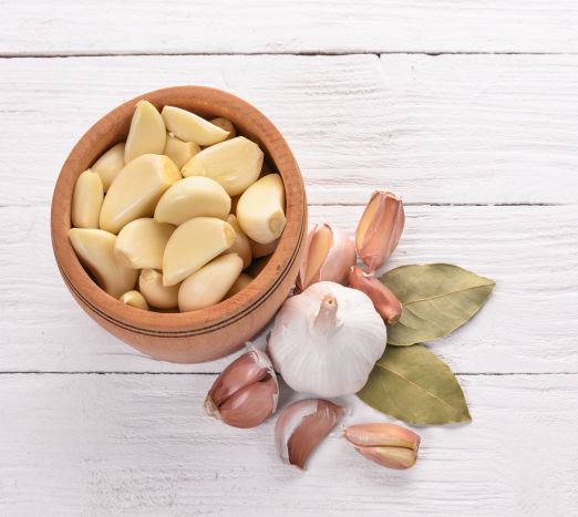 Garlic