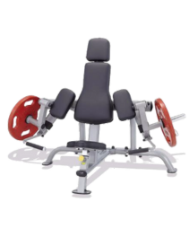 BILATERAL BICEP MACHINE