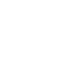 Thermometer Icon