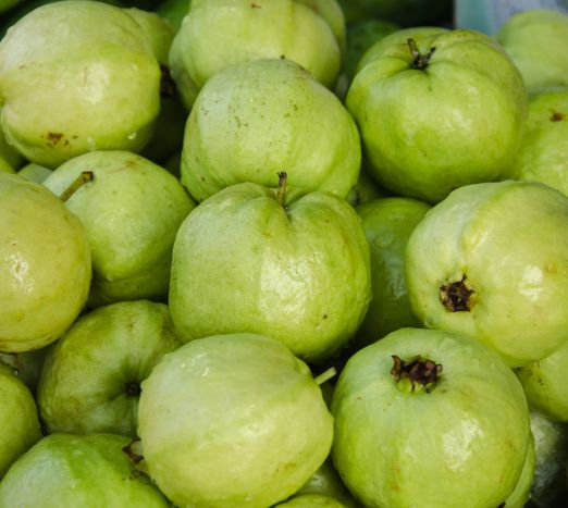 Guava