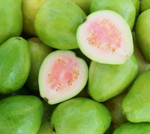 Guava