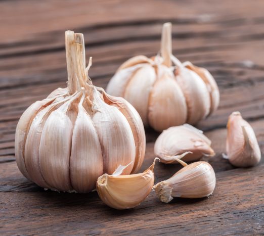 Garlic