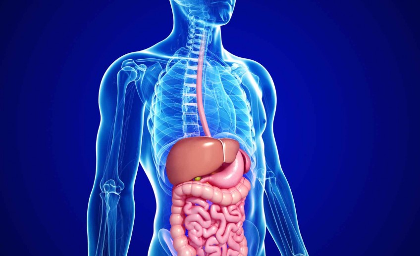 Gastroenterology Doctor In Nashik