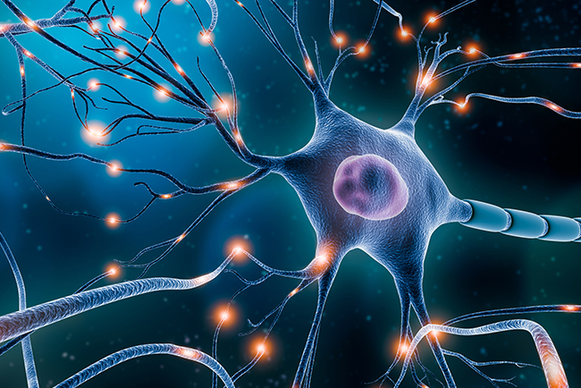 Neurology Specialist Doctor In Nashik