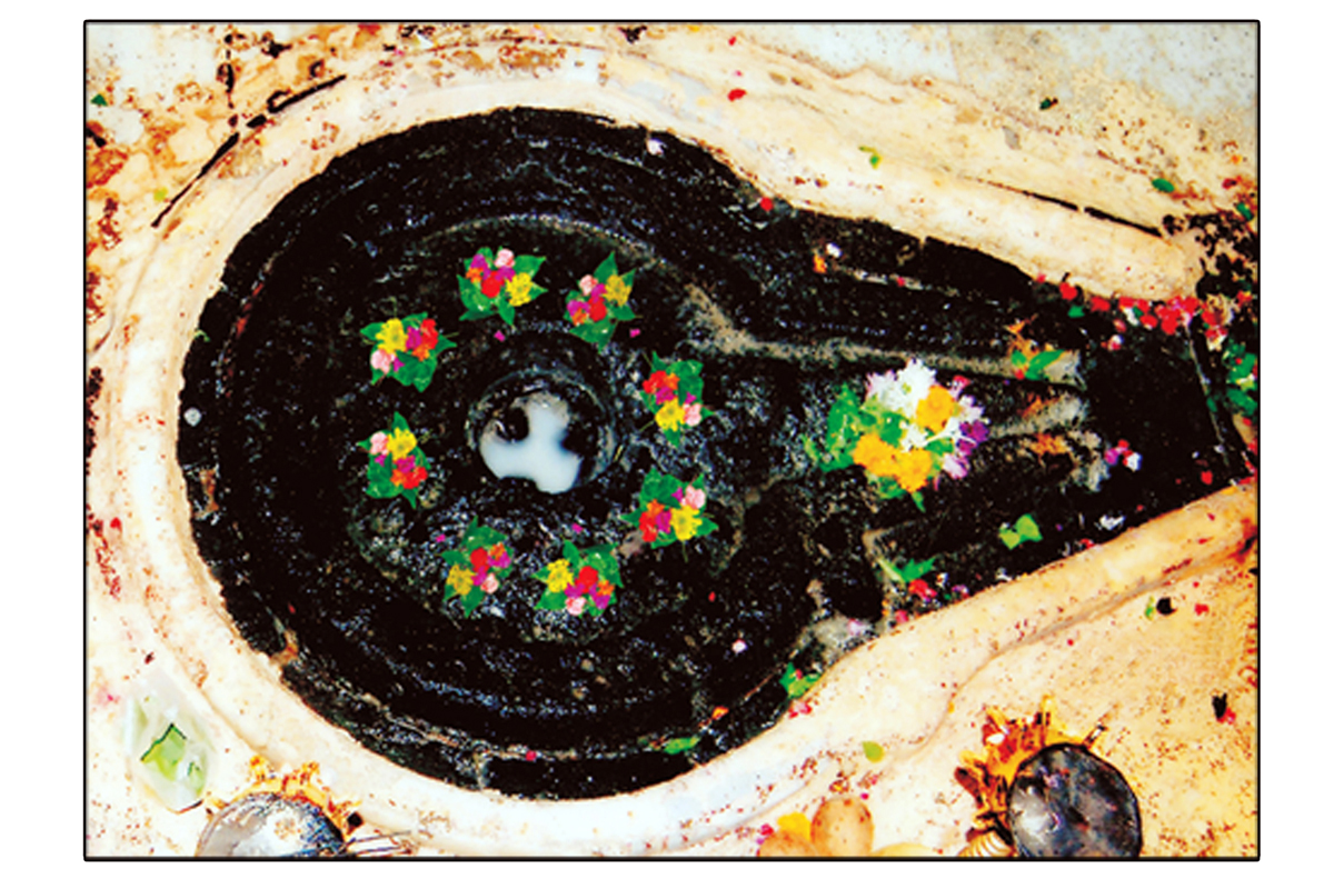 kalsarp pooja in trimbakeshwar