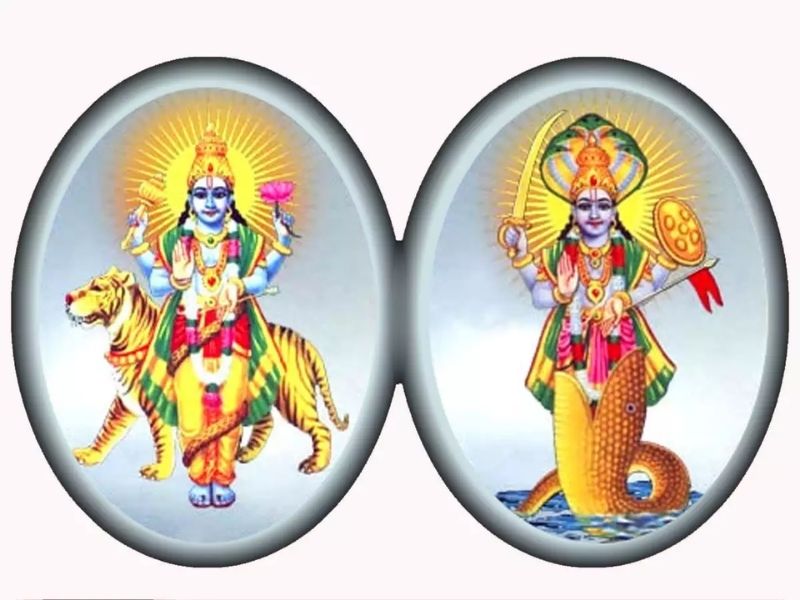 Rahu Ketu Shanti Puja | Rahu Ketu Dosh Nivaran Pooja