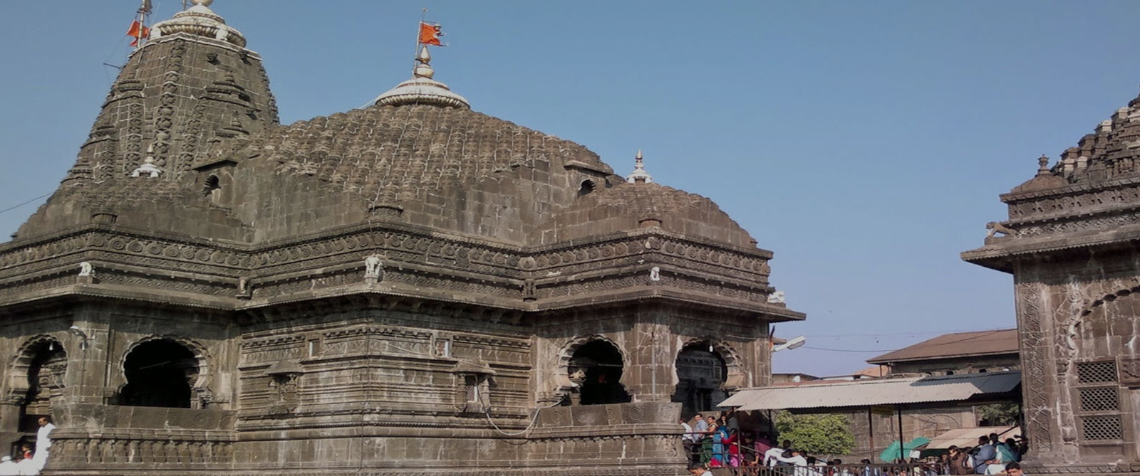 kalsarp puja pandit | kalsarp dosh nivaran puja