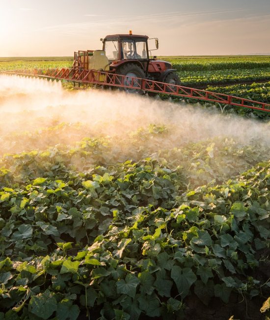 Omiz Staffing Solutions